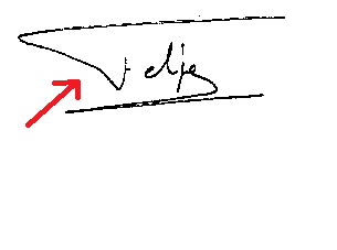 Firma actual